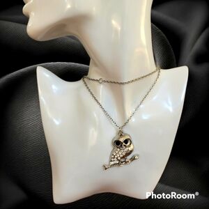 Silvertone Owl Pendant Chain Necklace